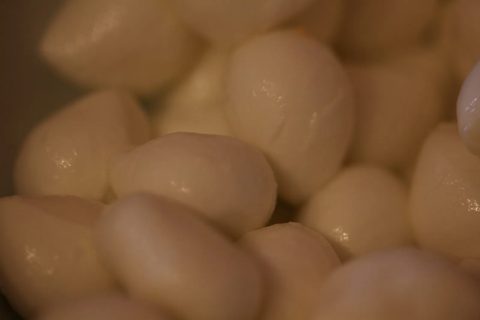 Mozzarella