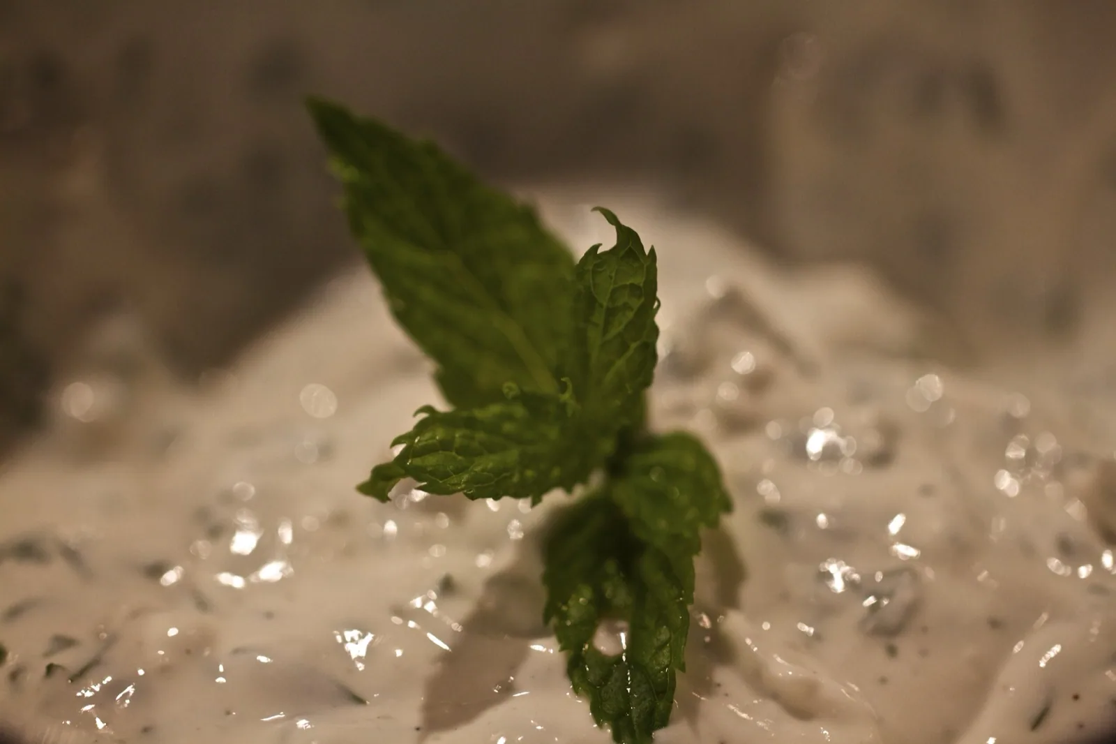 Mentás joghurt öntet